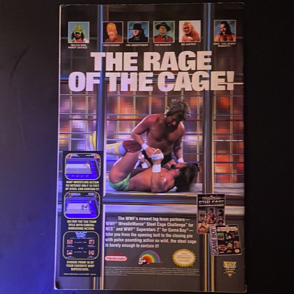 The Fly #14 Comic Book The Fly Strikes Out - Picture 5 of 5